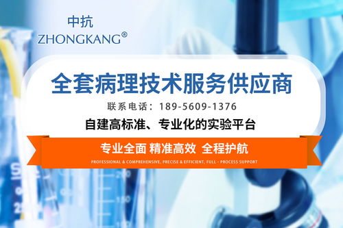 2026年如何高标准甄选石蜡包埋科研病理技术服务伙伴